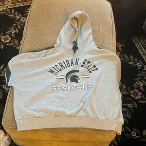 Gray Michigan State Spartans Hoodie